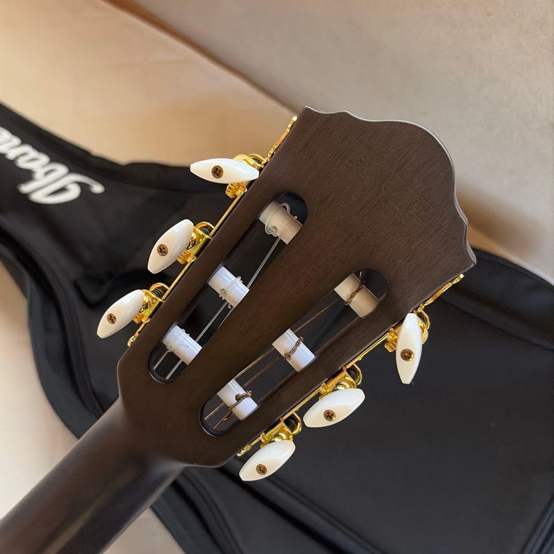 ギター ibanez TOD10N