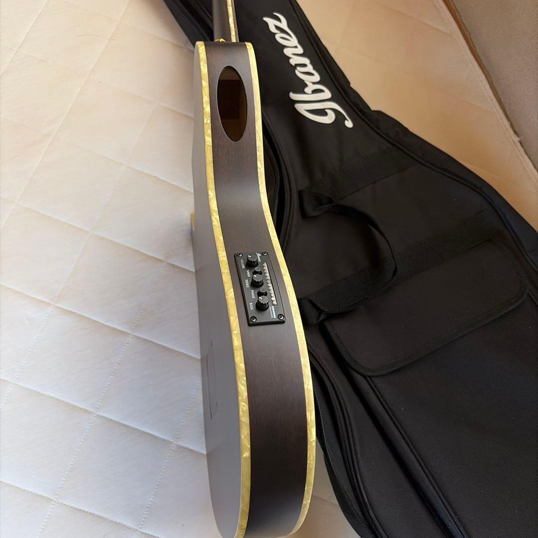 ギター ibanez TOD10N