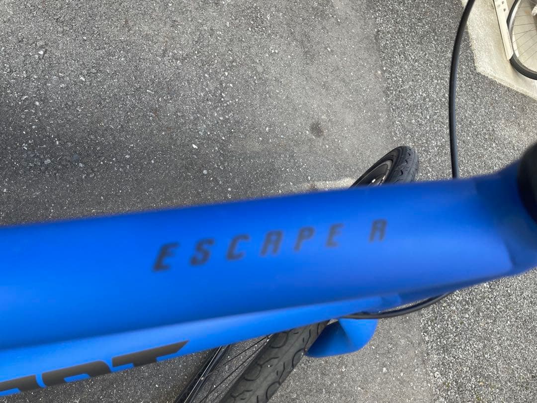 GIANT ESCAPE R3 2025年購入