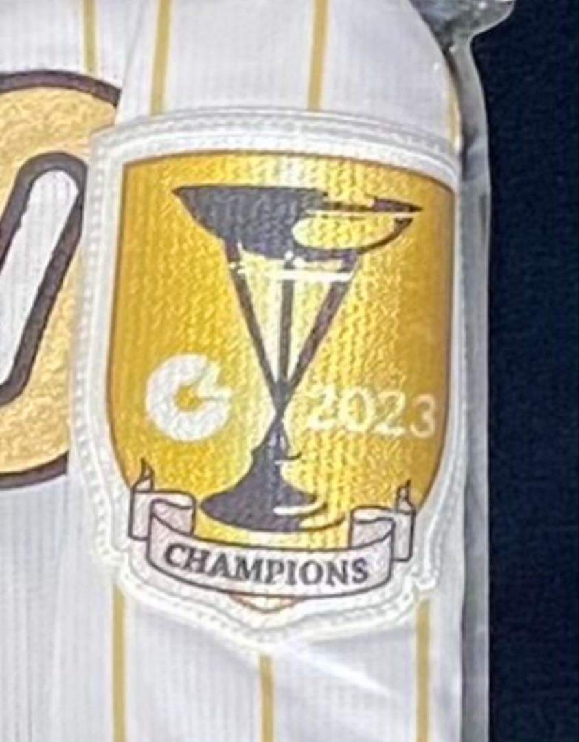 応援歌付き★大山選手Ｏサイズ阪神タイガースチャンピオンレプリカユニフォーム