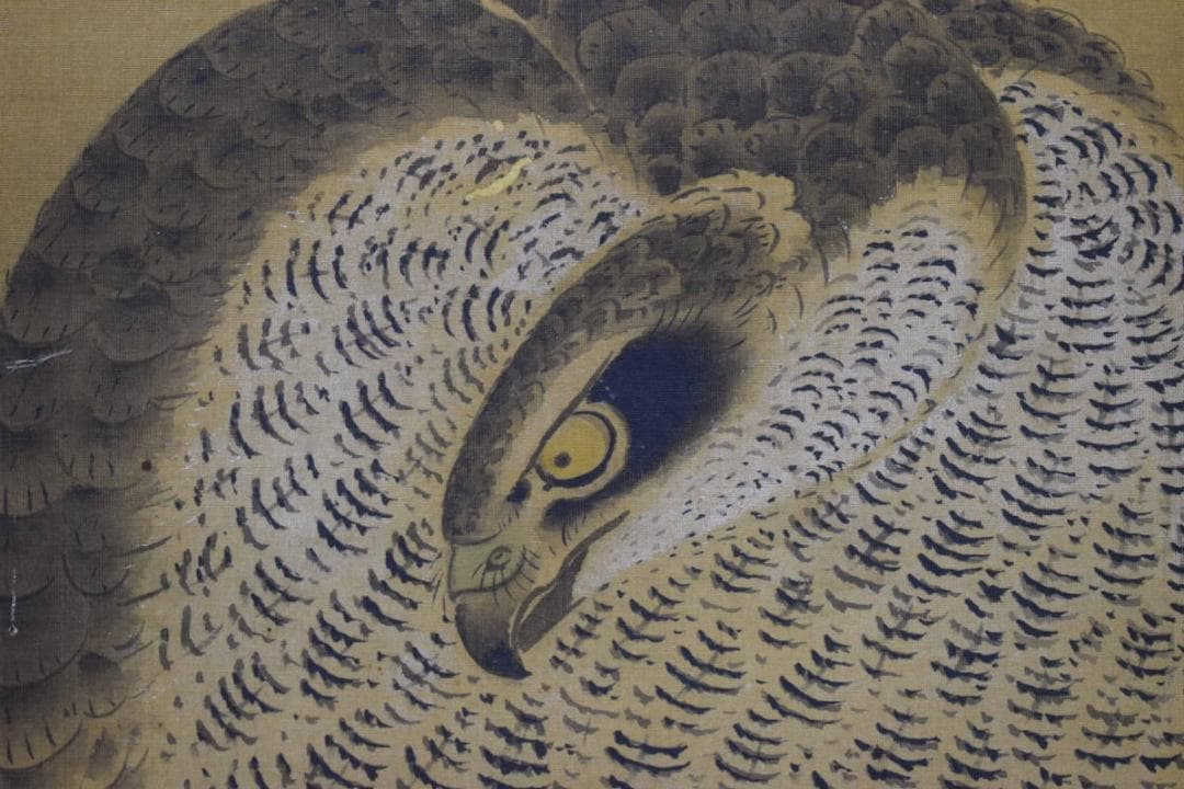 不詳/作者不詳/古画/鷹図/布袋屋掛軸HG-124