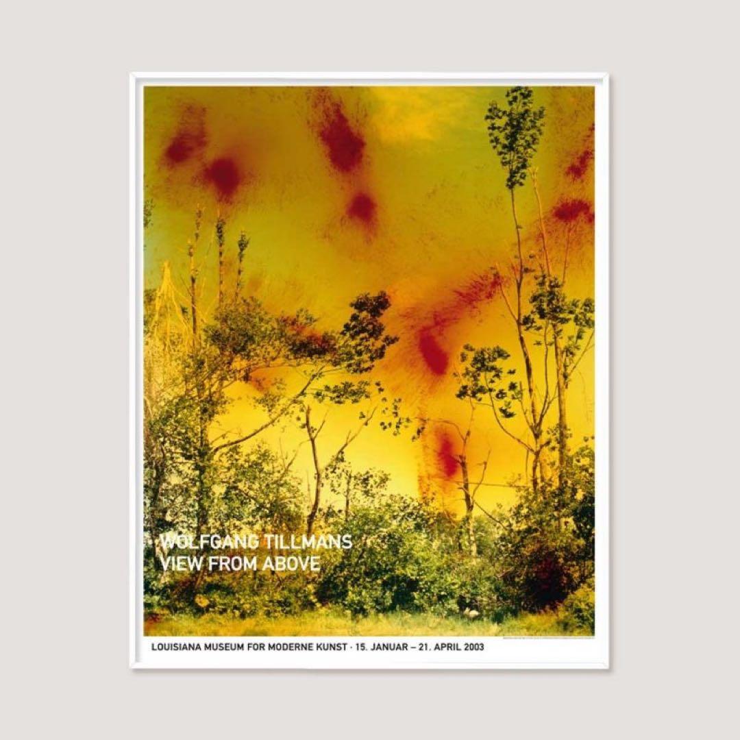 芸術写真 Wolfgang Tillmans Icestorm (2001) Poster