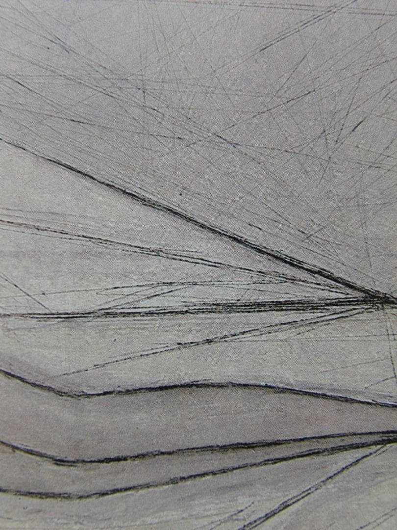 ベルナール・ビュッフェ、「Nu couche」、希少画集の額装画、人気作品