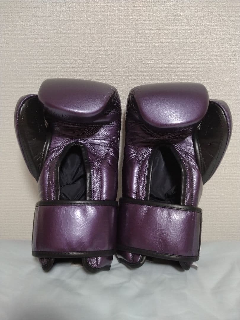 レイジェス ボクシンググローブ パープル 12オンス