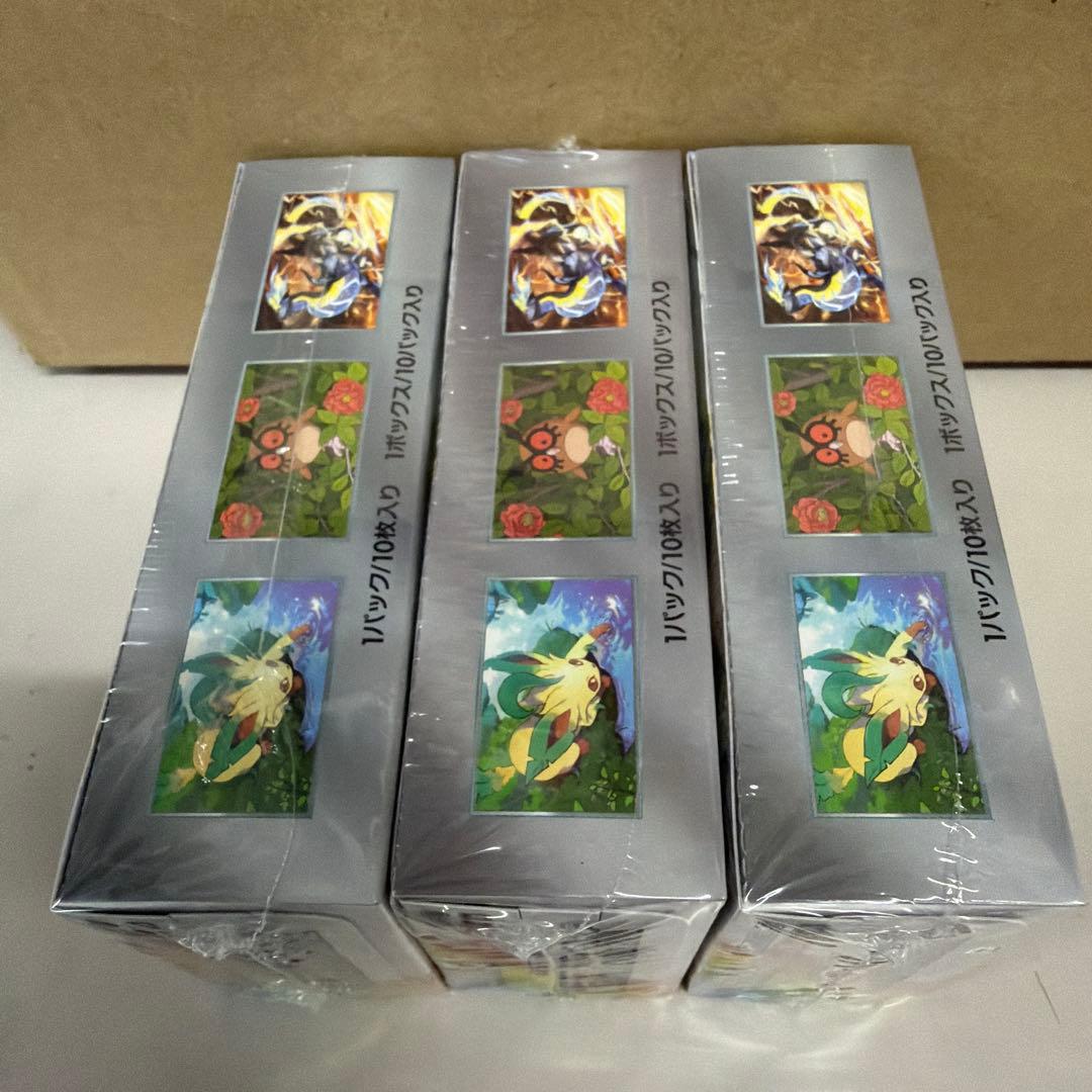 タ*様 ポケモンカードゲーム テラスタルフェス