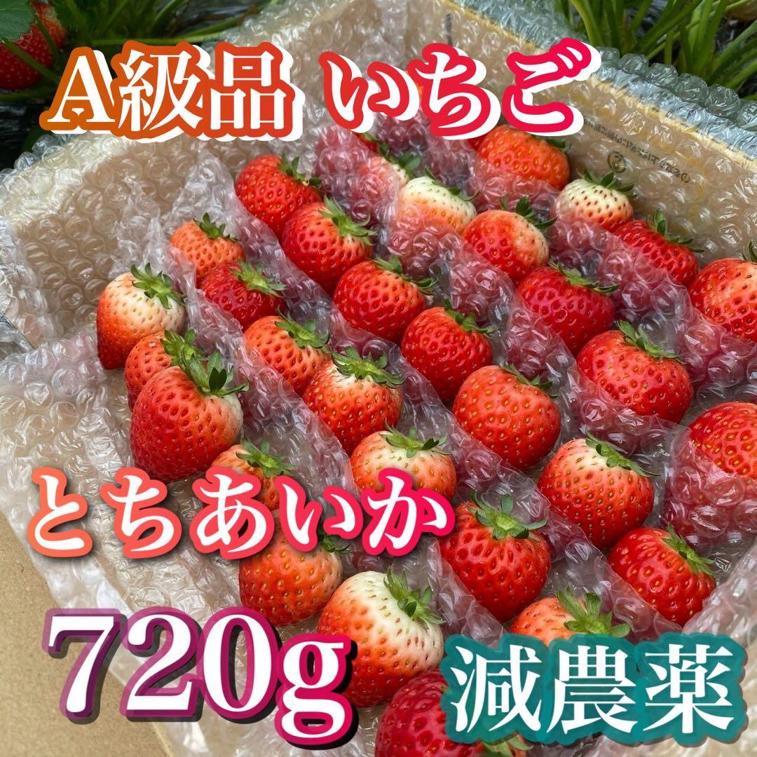 A級品 とちあいか いちご 720g ケーキ　農家直送　クリスマス　朝摘み