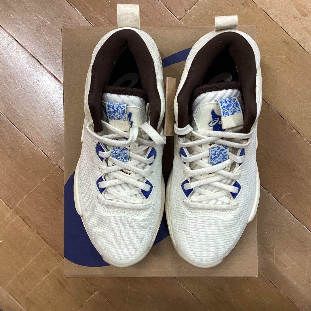 シューズ(男性用) NOVA SURGE 3 750 24.5cm