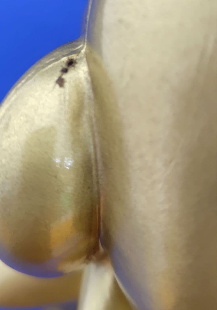 中古　レア！　任天堂エンターテイメント特約店　ゴールドスーパーマリオ像　非売品