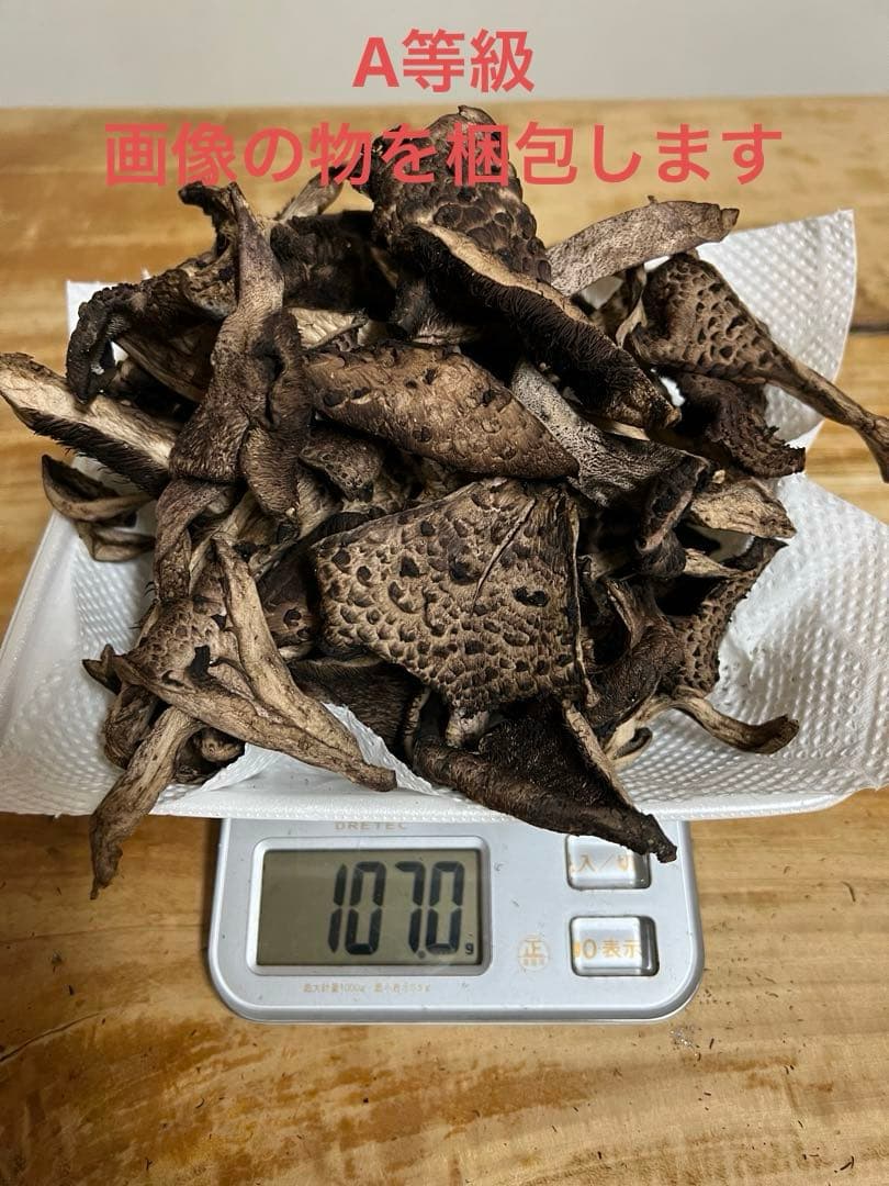 香茸　乾燥　200g以上 A等級 ②