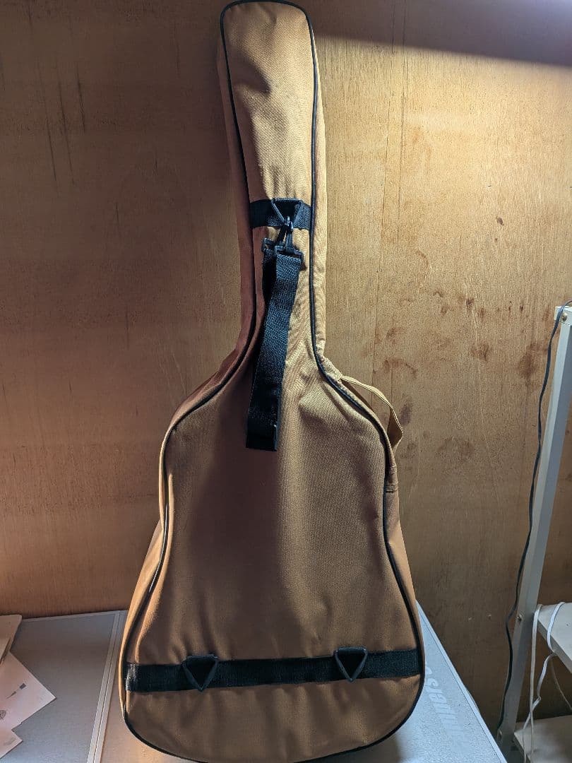 SX アコースティックギター DG1K/NAT 美品 ケース付