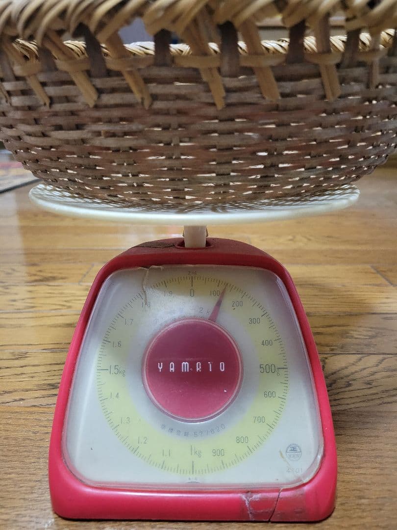 特大　極太　国産　岩手県産　松茸　550g