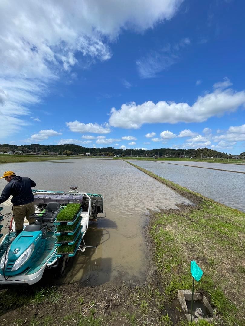 ☆早い者勝ち☆新米 コシヒカリ 令和7年産 千葉県いすみ市産　白米　クリーン精米