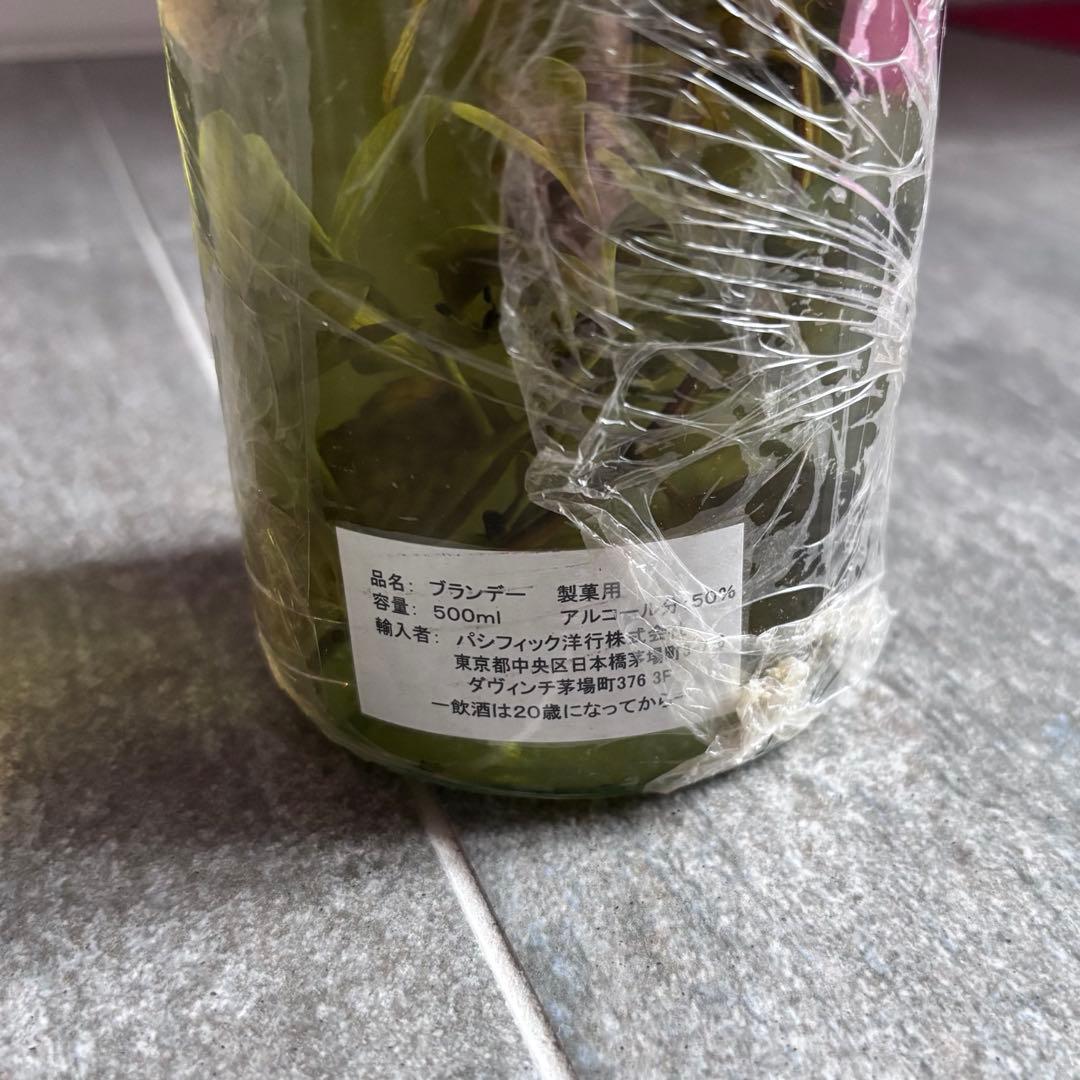 塚*郎様 【美品】ロマーノレヴィ ルータ ミント グラッパ ハーブ入 750ml