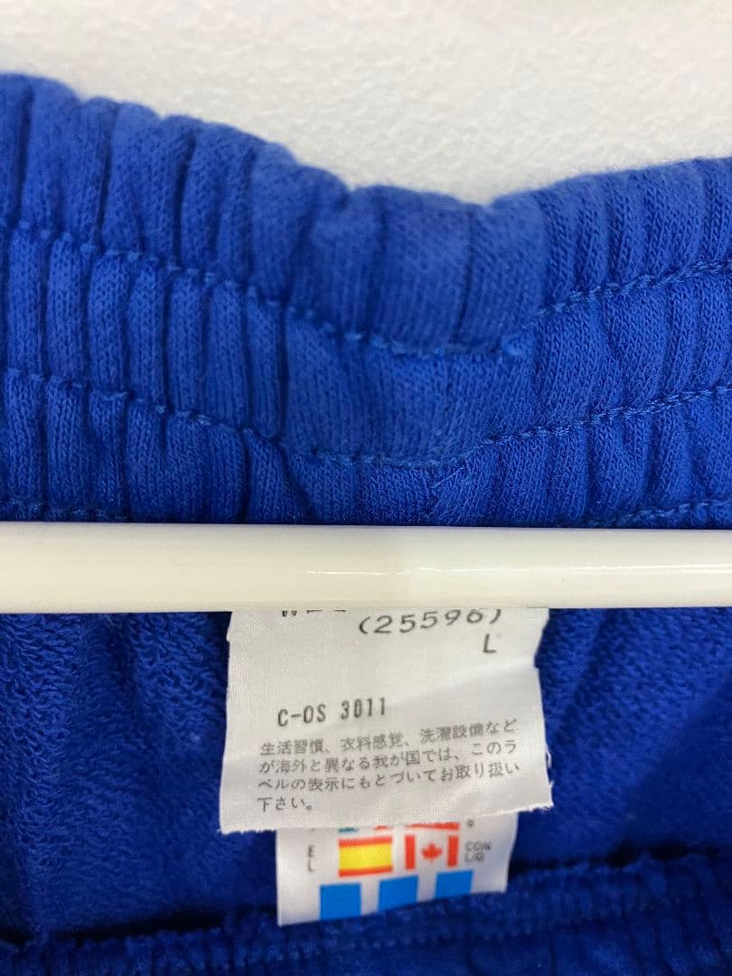 94-95 フランス代表　adidasオフィシャル　トレーニングスウェット上下