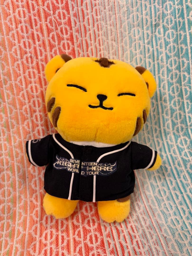 SEVENTEEN ぬいぐるみ洋服 piro様