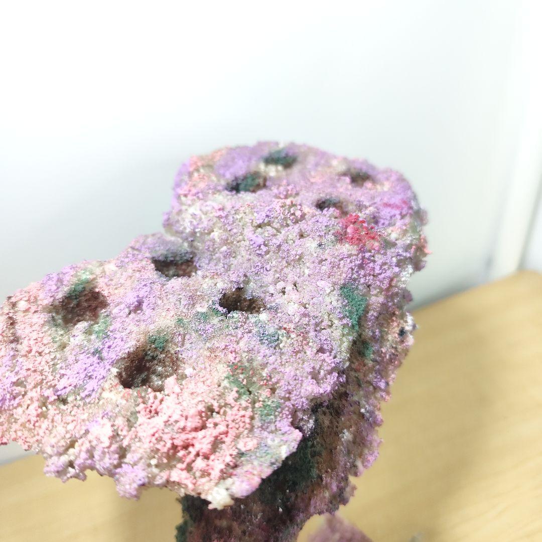 プラグ穴付き アク抜き不要人工ライブロック 海水水槽 レプリカ コーラルフラグ3