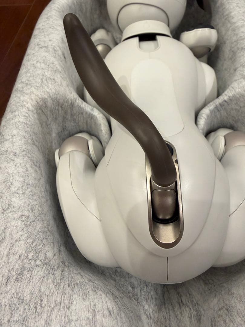 SONY aibo 本体 アイボリーホワイト ERS-1000 アイボソニー美品
