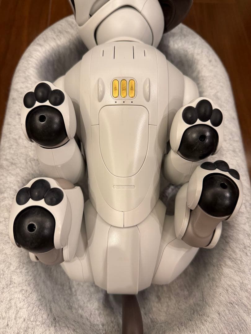SONY aibo 本体 アイボリーホワイト ERS-1000 アイボソニー美品