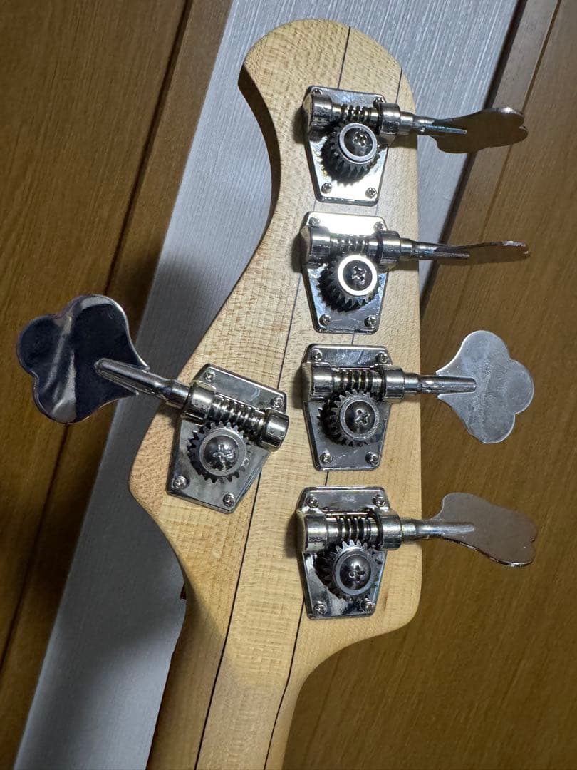 Bacchus WJB5-BP/Act BL-B 5弦ベース　ブルーバースト