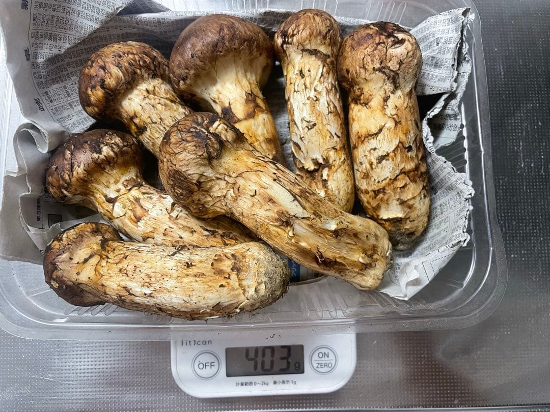 岩手マツタケ 7本 約400g