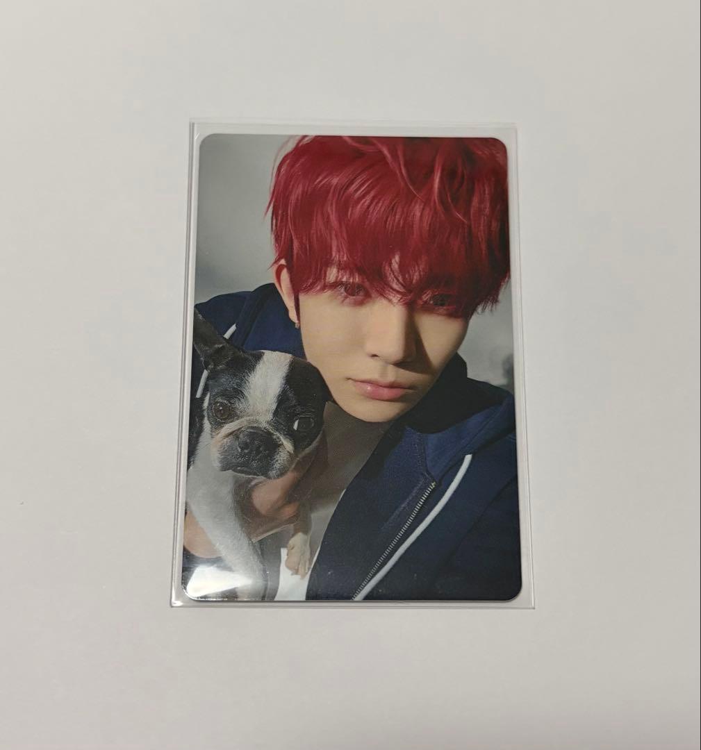 ENHYPEN ヒスン アンケートトレカ