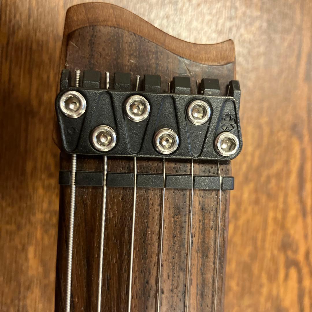 .strandberg* Boden エレキギター ブラック