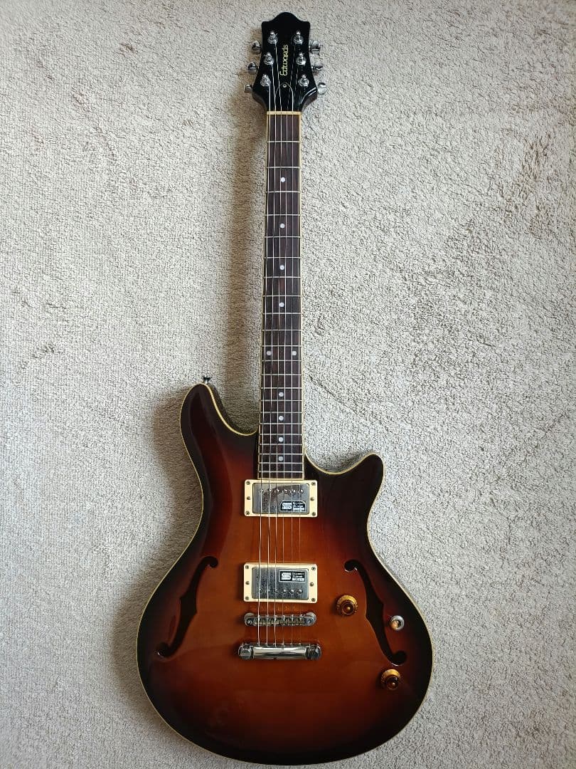 ギター Edwards E-PA-125D potbelly