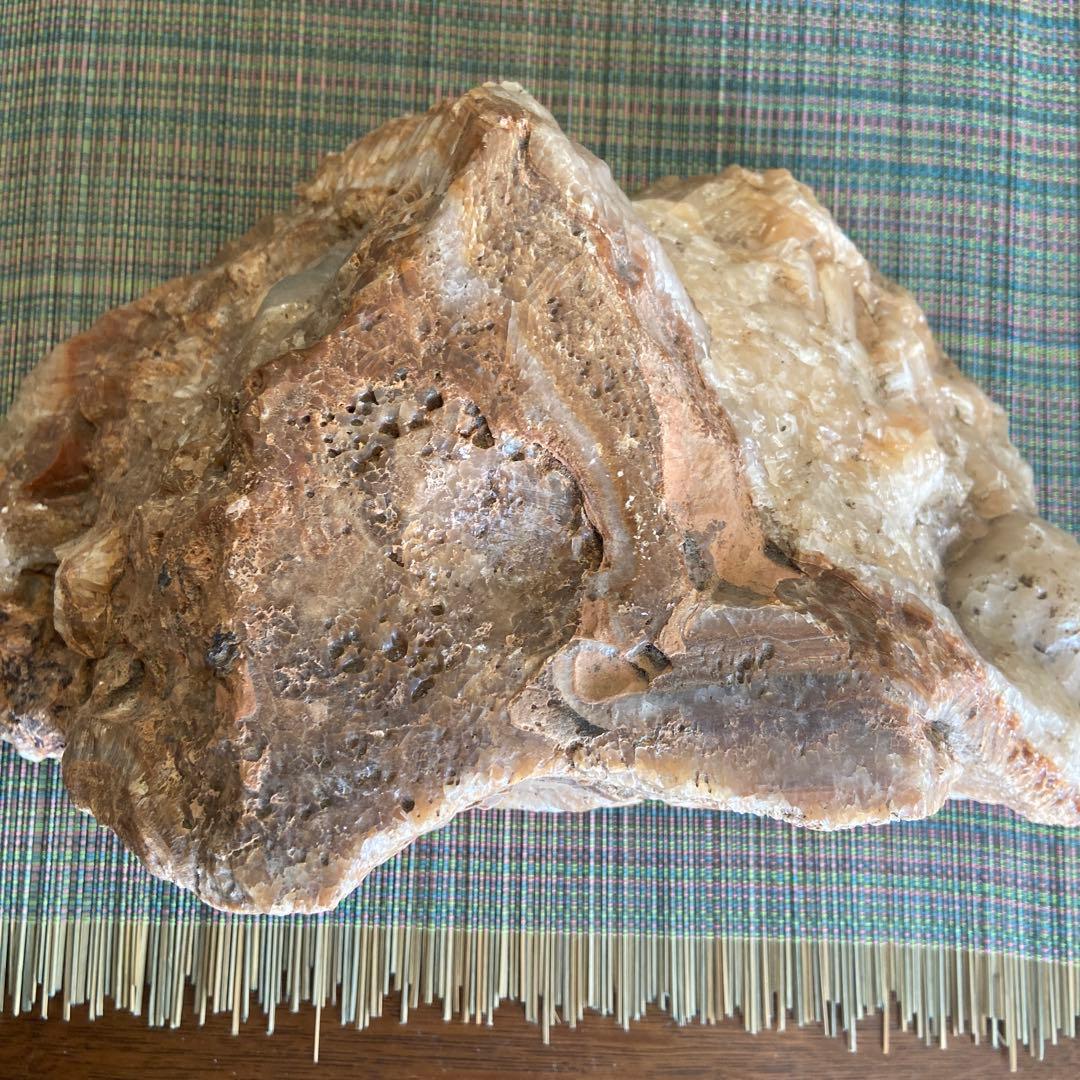 珪花石(化石木の自然石 )大きめ