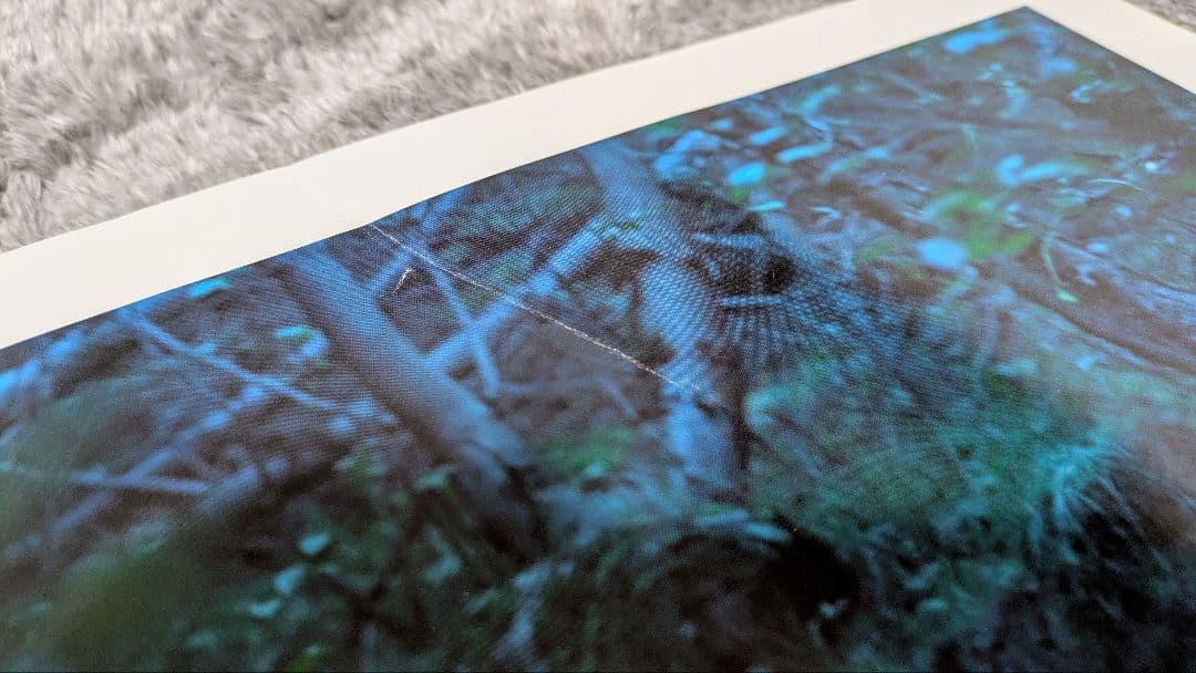 【希少】Aimer　直筆サイン　ポスター