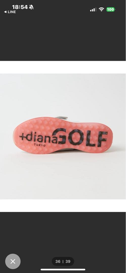 dianaバックル付きゴルフシューズ グレー 24.5cm