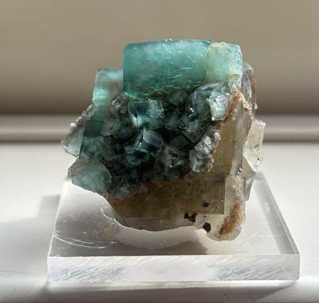 k*g様 レディアナベラ　toxic apple pocket フローライト　レ