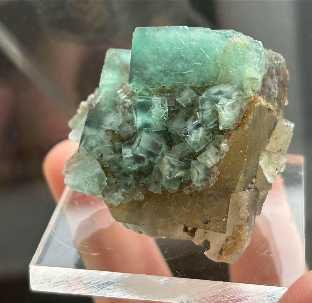 k*g様 レディアナベラ　toxic apple pocket フローライト　レ