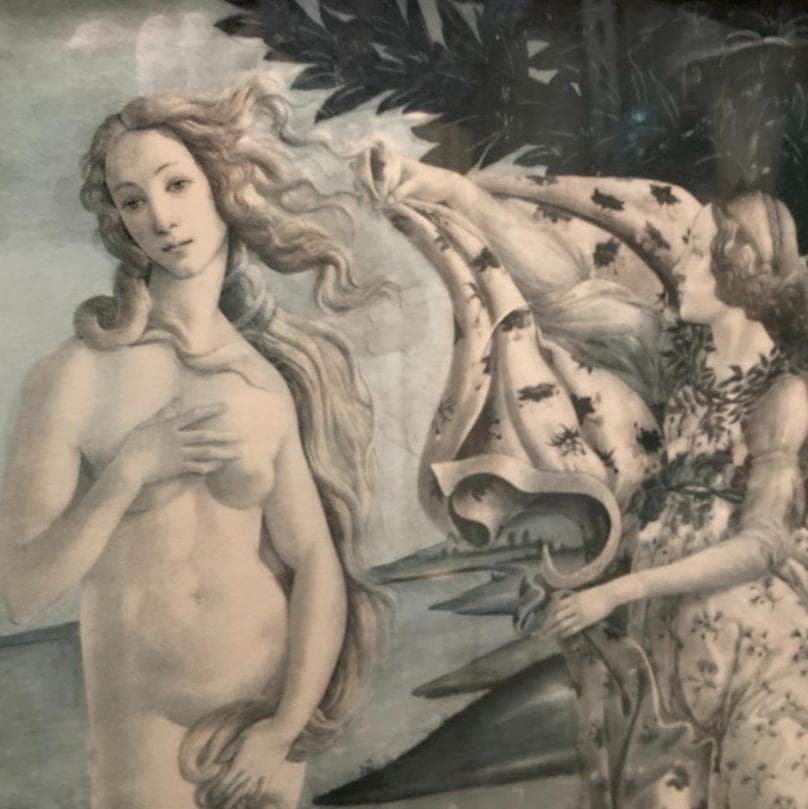 ヴィーナスの誕生　絵画　額付き　複製画　サンドロ・ボッティチェリ　複製画