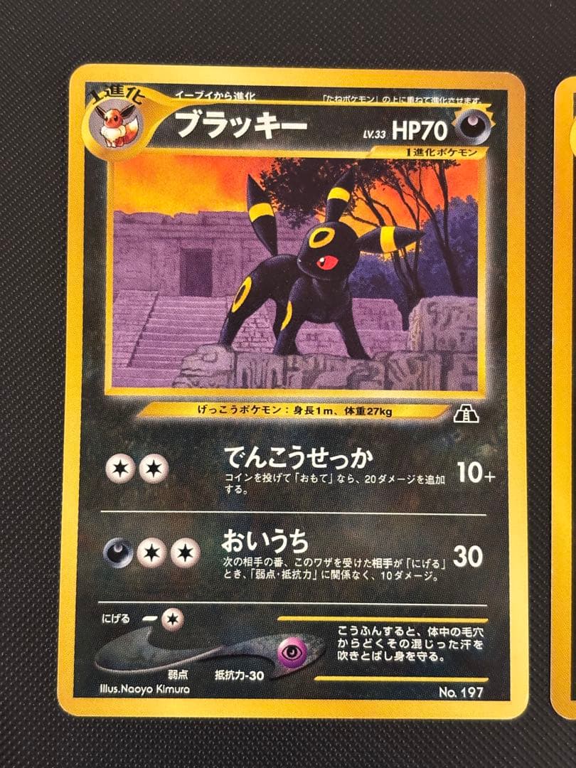 旧裏　美品・準美品　ブラッキー　イーブイ　ピチュー　プレミアムファイル2 neo