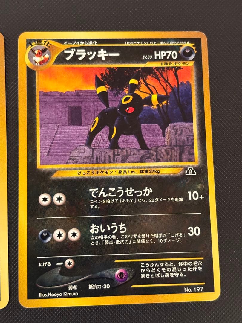 旧裏　美品・準美品　ブラッキー　イーブイ　ピチュー　プレミアムファイル2 neo