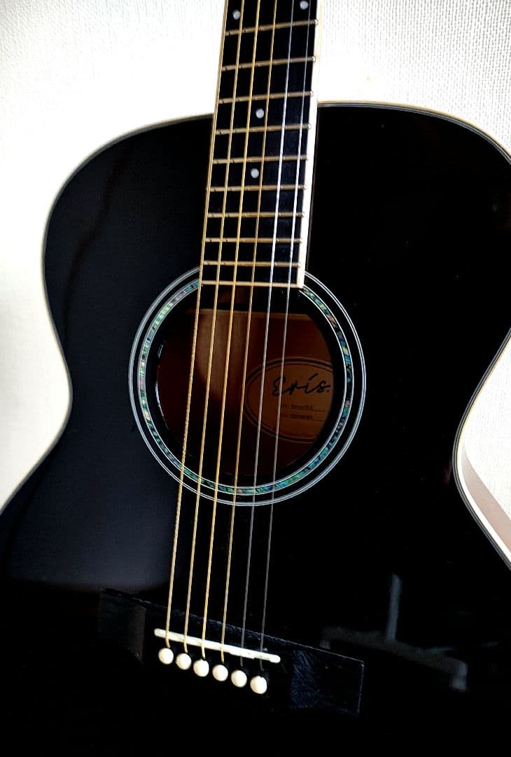 Eris. Aproa アコースティックギター、後貼り ピックガード3種付属