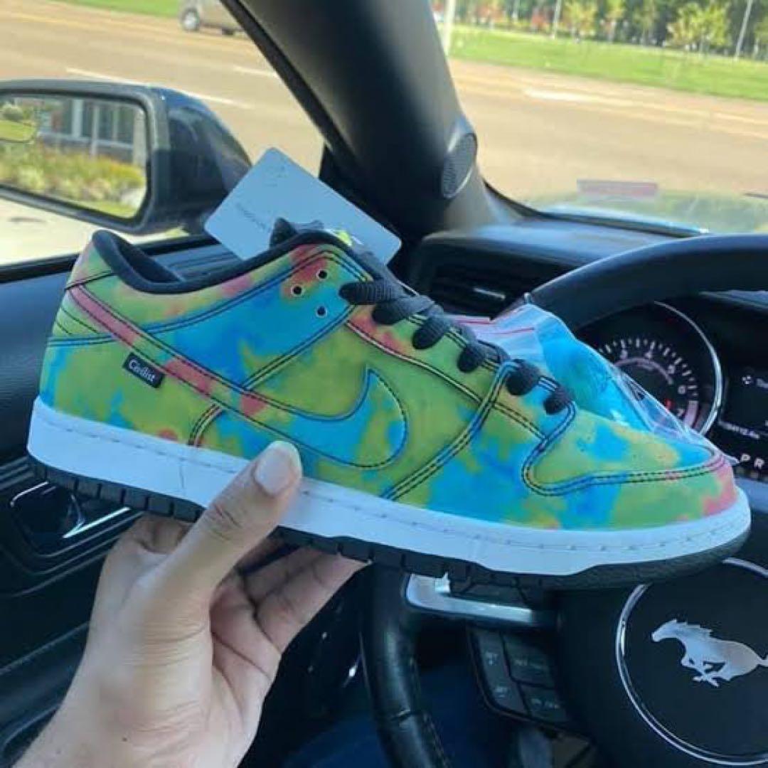 Civilist×Nike SB Dunk Low Thermography