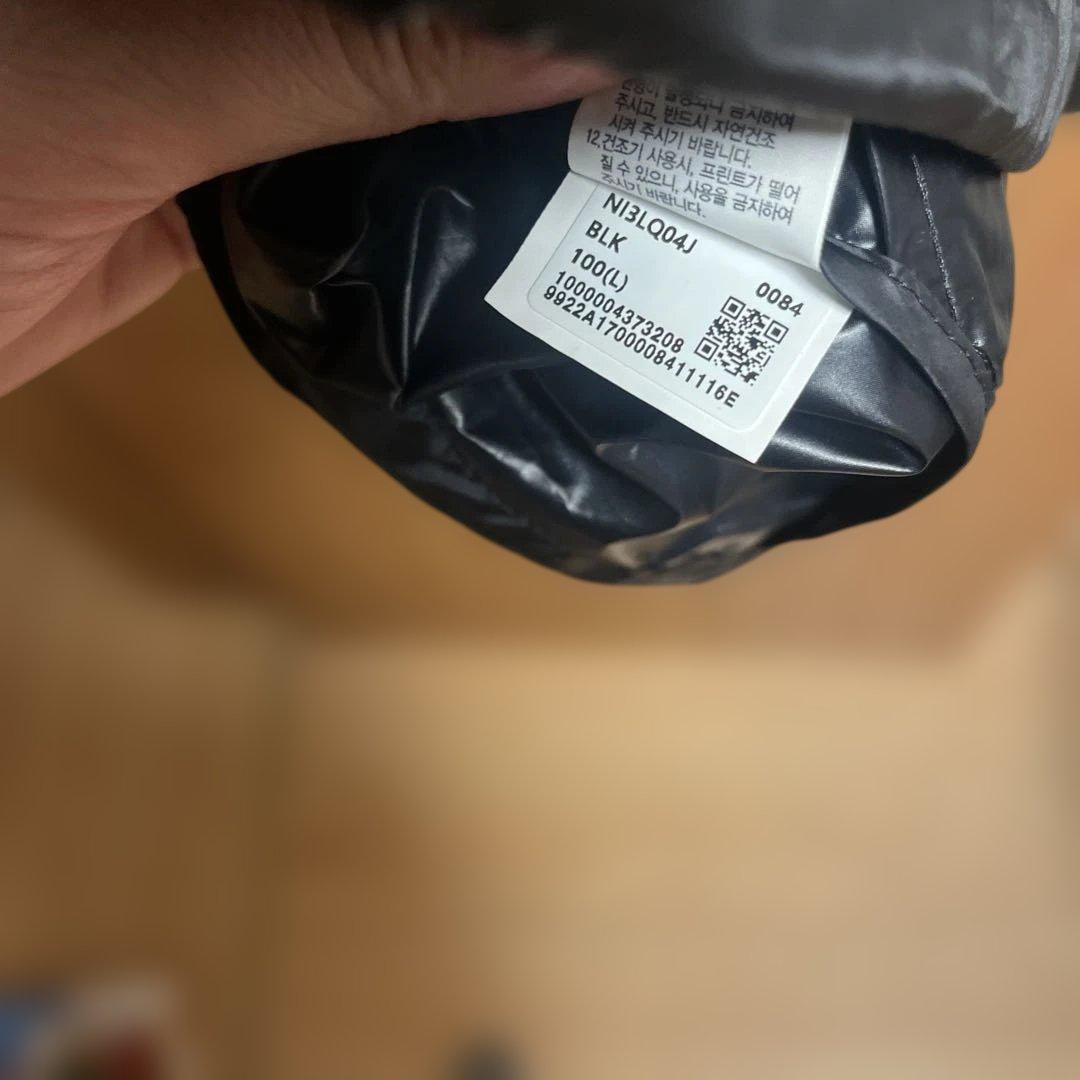 ザノースフェイス マウンテンパーカー ウインドブレーカー メンズ　Ｌサイズ