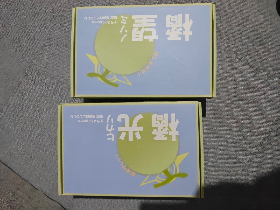 ブルーアーカイブ ノゾミ&ヒカリ メロン双子 完成品