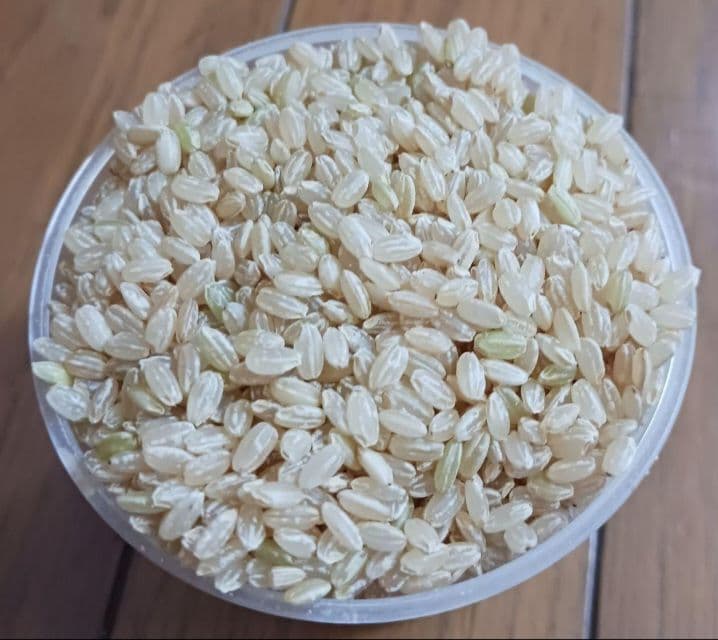 玄米20kg(10kg×2) 令和6年産 とちぎの星 送料込 匿名、段ボール配送