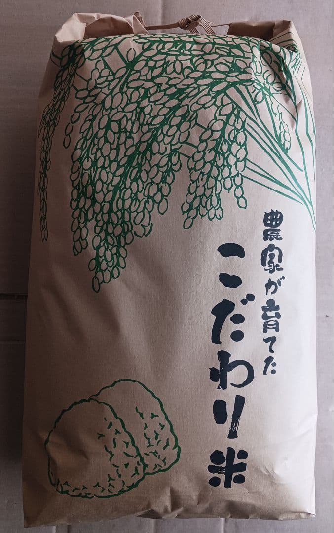 玄米20kg(10kg×2) 令和6年産 とちぎの星 送料込 匿名、段ボール配送
