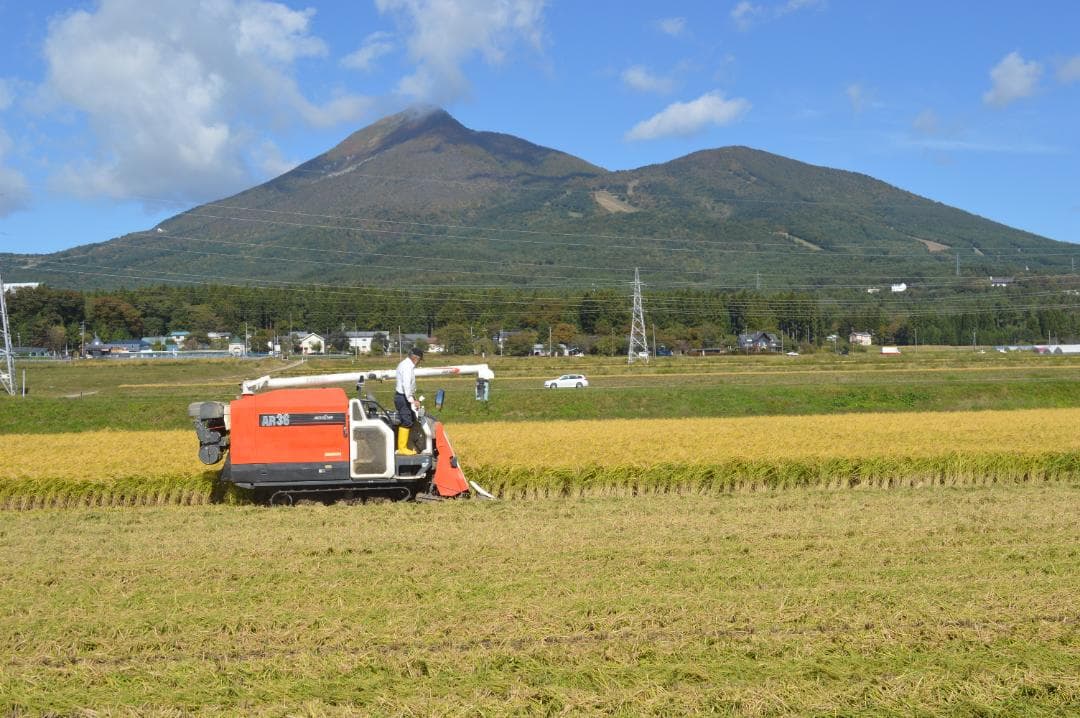 奇蹟の米「ゆうだい21」　玄米30㎏　格安販売　(送料無料)