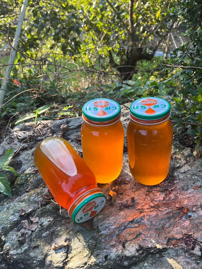 日本蜜蜂ハチミツ/百花蜜/1kg×2本/限定40kg【最終値下げ】