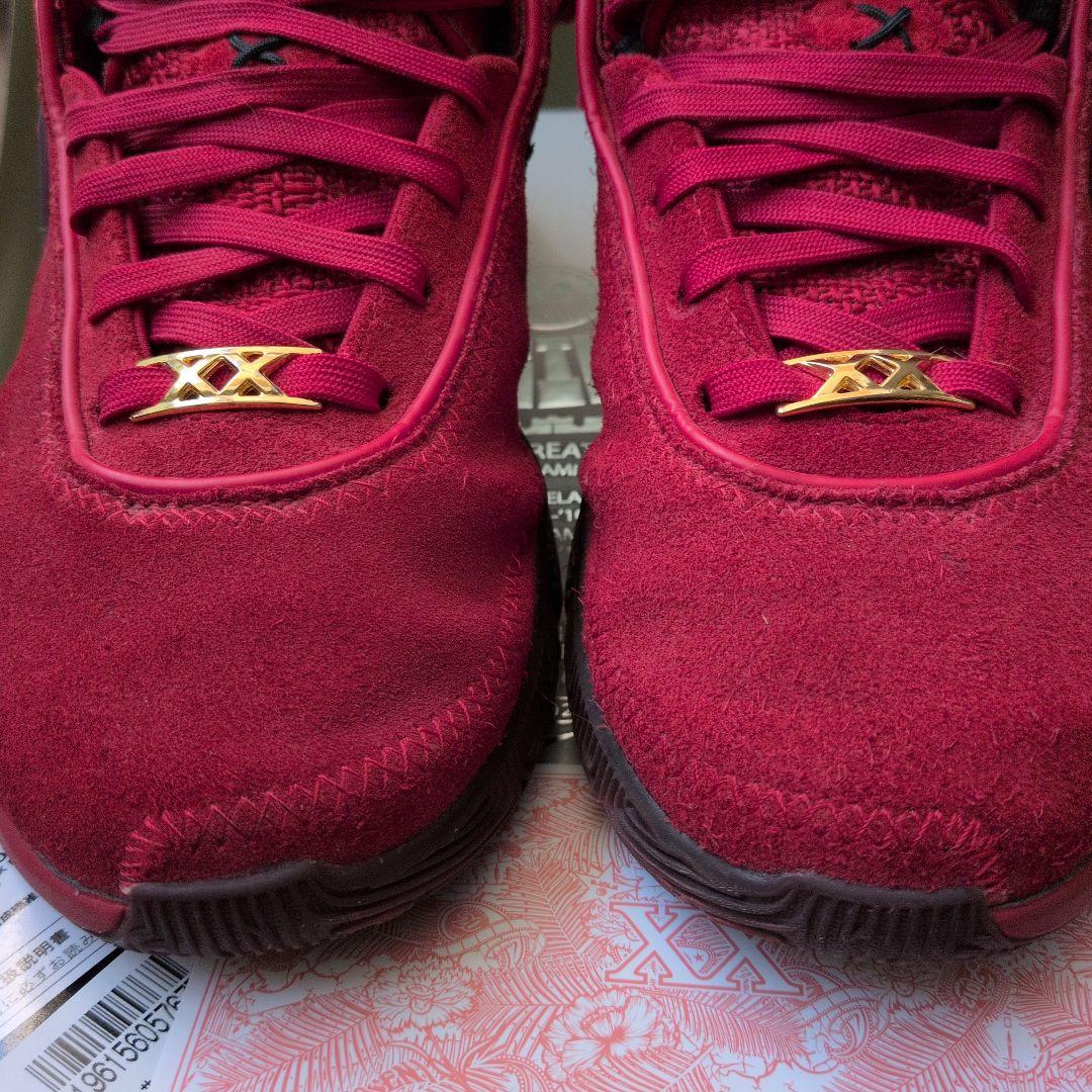 NIKE レブロン20リバプール 25cm