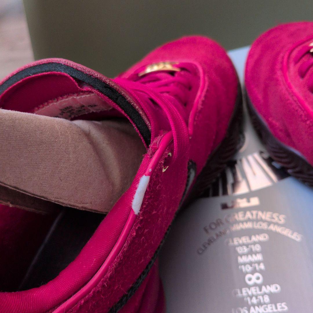 NIKE レブロン20リバプール 25cm