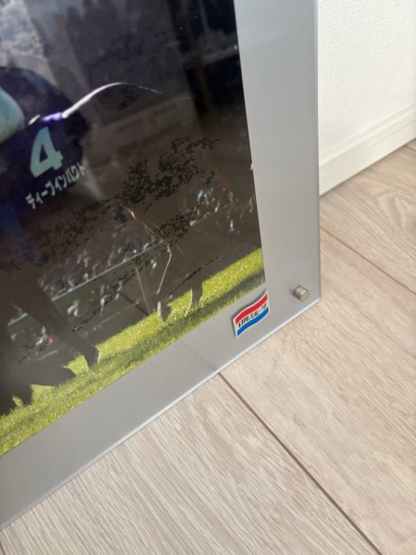 競馬　ディープインパクト　引退式　日刊スポーツ　パネル