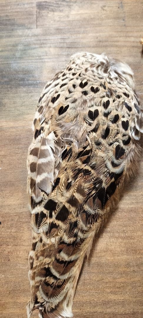 ​【高級】METZ メッツ ハックル 2種 ＆ フェザントウィング セット