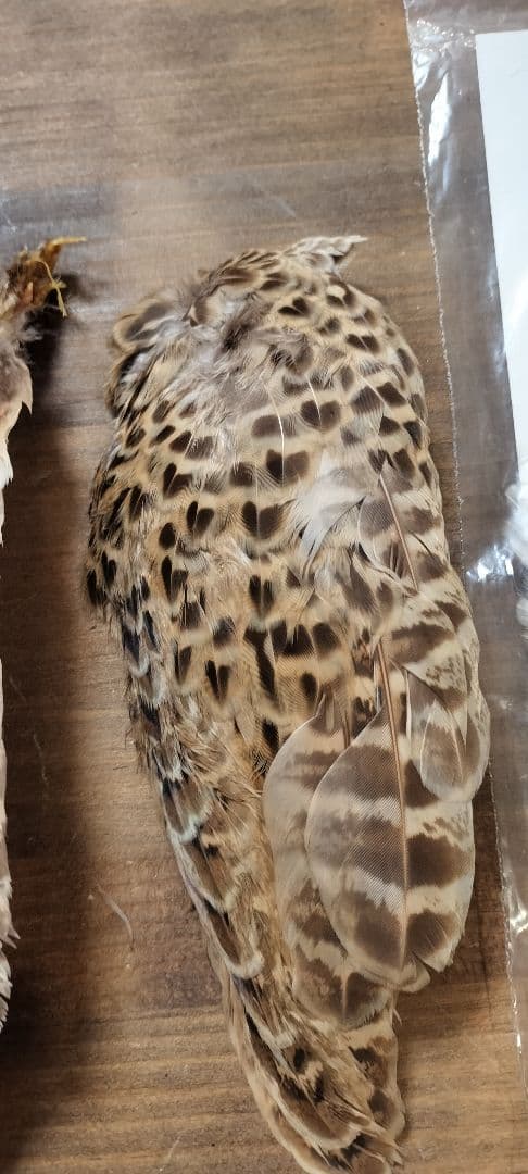 ​【高級】METZ メッツ ハックル 2種 ＆ フェザントウィング セット