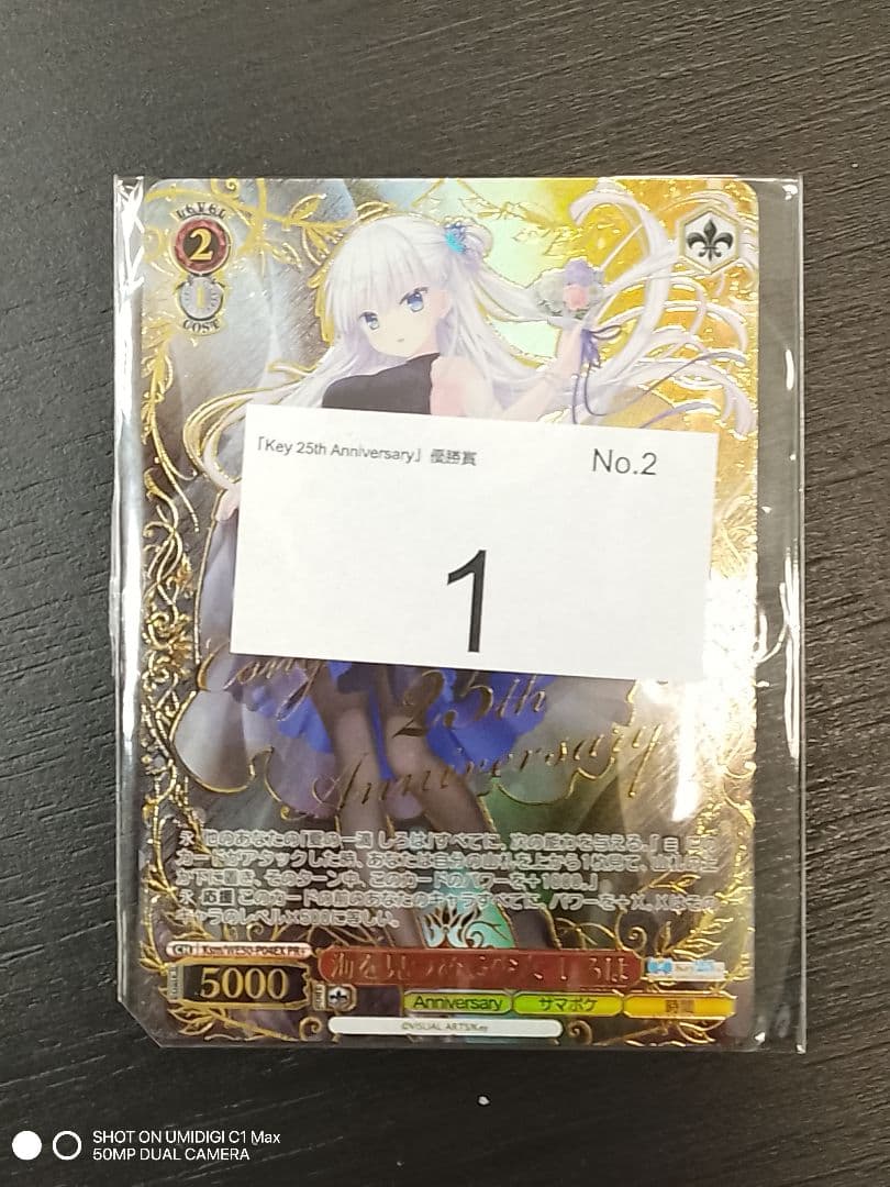 海を見つめる少女　しろは　PR+