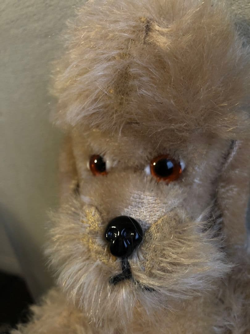 アンティーク ドイツ製 2足歩行プードル テディ